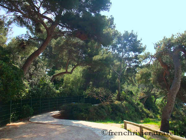 Walking path, Cap Ferrat