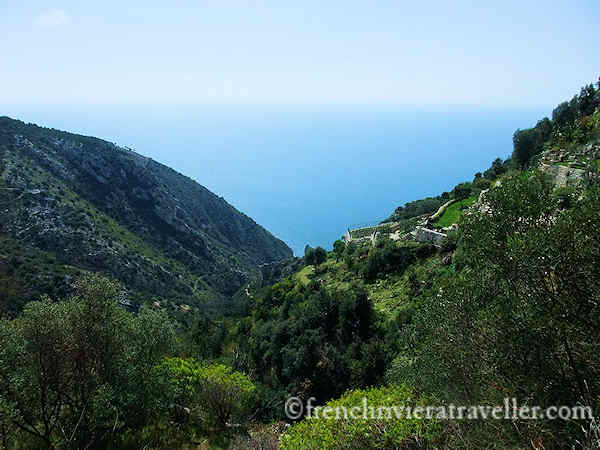 View from Eze village