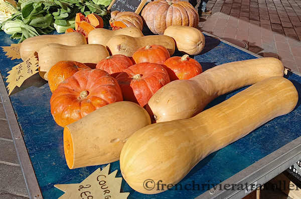 Courges